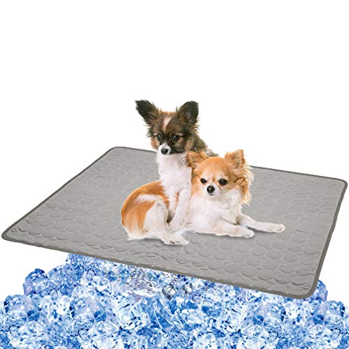 BESAZW Cooling Mat Pad for Dogs Cats Ice Silk Mat Cooling Blanket Cushion for Kennel/Sofa/Bed/Floor/Car Seats Cooling(Gray) (L) BESAZW Cooling Mat Pad for Dogs Cats Ice Silk Mat Cooling Blanket Cushion for Kennel/Sofa/Bed/Floor/Car Seats Cooling(Gray) (L)