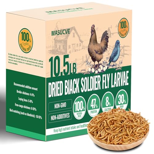 MASUCVE Black Soldier Fly Larvae Worms for Chickens, 10.5LB, 100% Natural Non-GMO BSFL Chicken Food, More Calcium Than Dried Mealworms, High Protein Chicken Treats for Layer Hens, Wild Birds, Ducks