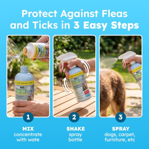 Image of BugMD Flea and Tick Spray for Dogs and Cats - Kills & Repels on Contact - Plant-Powered Flea Treatment for Home, Furniture & Carpet | Makes 32 oz