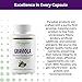 Paradise Herbs Graviola, Graviola Leaf Extract, Soursop Antioxidant Superfood, Whole Spectrum Extract, Ultra Pure, Vegan, Non-GMO, Gluten Free, 60 Count Vegetarian Capsules