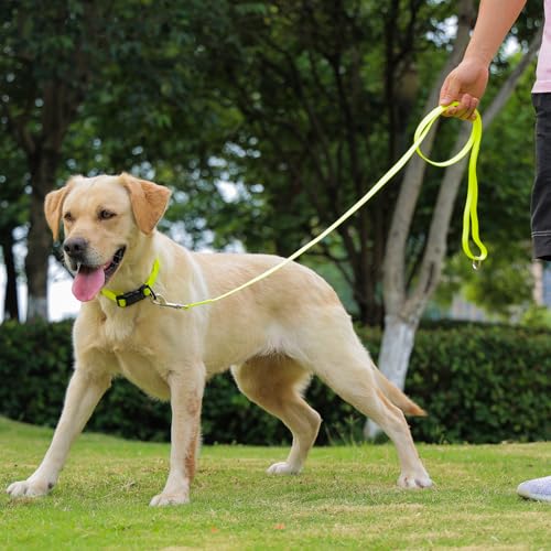 Image of Waterproof Dog Collar, Easy to Clean Rubber Dog Collars with Quick Release Buckle Fits Small Medium or Large Dogs (Yellow, S < 9.5-14.1 inch)