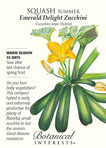 Emerald Delight Summer Squash Seeds - 1.5 Grams Emerald Delight Summer Squash Seeds - 1.5 Grams