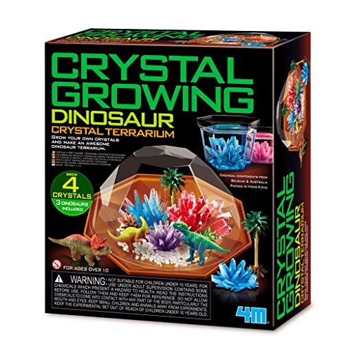 Terrarium dinosaure 4M à fabriquer pour décorer une chambre