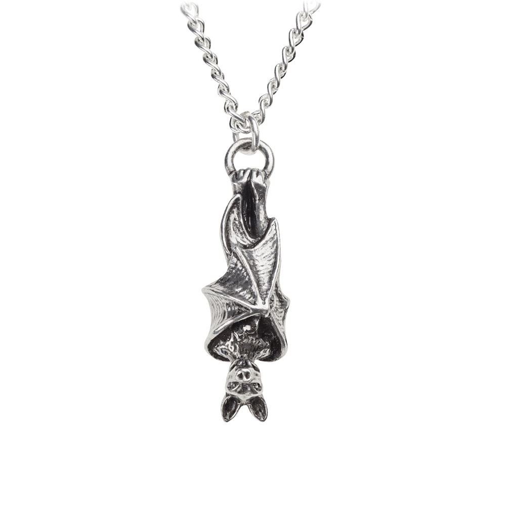 Pendentif Alchemy Gothic Awaiting The Eventide en étain fin poli - 3