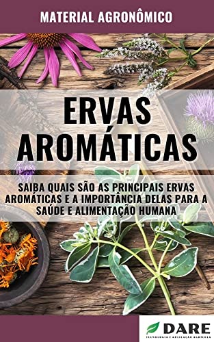 ERVAS AROMÁTICAS | Principais ervas e a sua importância para a saúde e alimentação humana