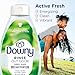 Downy RINSE & REFRESH Laundry Odor Remover and Fabric Softener for Activewear, Active Fresh Scent, 48 oz