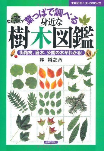 葉っぱで調べる身近な樹木図鑑 街路樹 庭木 公園の木がわかる 主婦の友ベストbooks 林 将之 本 通販 Amazon