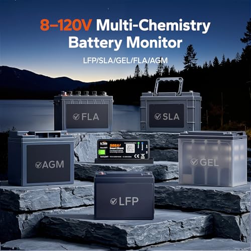 Image of LiTime 500A Bluetooth Battery Monitor, 8V-120V Batteries Smart Shunt M8