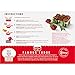 CARNATION Famous Fudge Kit Without Marshmellows 27.75 ounce Box