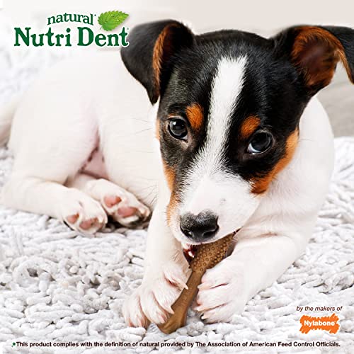 Image of Nylabone Nutri Dent Dog Dental Chews - Natural Dog Teeth Cleaning & Breath Freshener - Dental Treats for Dogs - Filet Mignon Flavor, Small (64 Count) | Natural dental chews for dogs, helps clean teeth & freshen breath, made in USA, vet recommended, for dogs 10-15 lbs