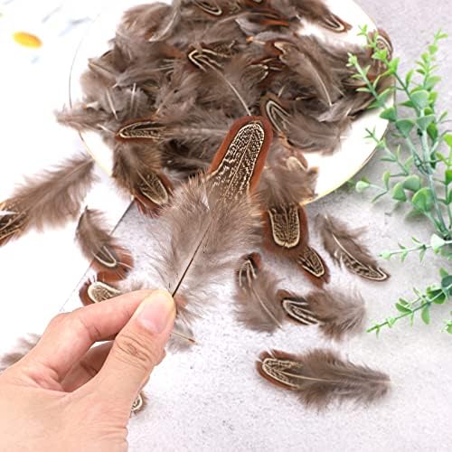 Natural Pheasant Feathers 150 Pieces Natural Crafts Feathers 5-8cm Brown Feathers for DIY Dream Catchers Wedding Birthday Hair Hats Crafts Party Cosplay Decorations