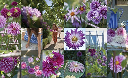 Tricia guild: in my view – vue 7
