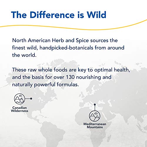 North American Herb & Spice Chagamax - 90 Capsules - Adaptogen, Adrenal Support, Endurance & Stamina - Chaga Wild Mushroom Supplement, Whole Food Herbs - Non-Gmo - 90 Total Servings #TOP5