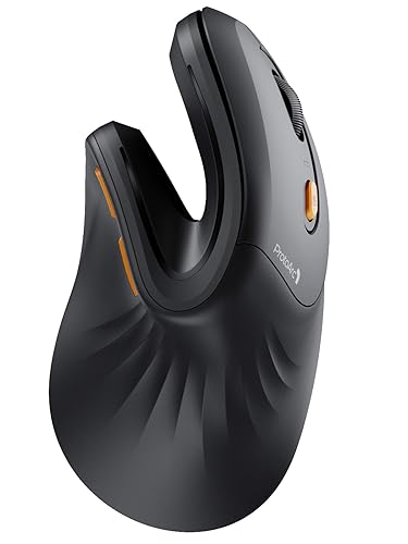 ProtoArc EM11 NL Souris Ergonomique sans Fil, Souris Verticale Rechargeable