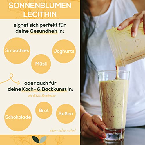 Sanutrition Sonnenblumenlecithin Pulver 250g Reinlecithin ohne Zusatzstoffe