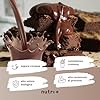 nutri+ Proteina in Polvere 3k vegan Brownie al Cioccolato Proteine - Protein Powder - Polvere Proteica senza Lattosio - Isolato proteico