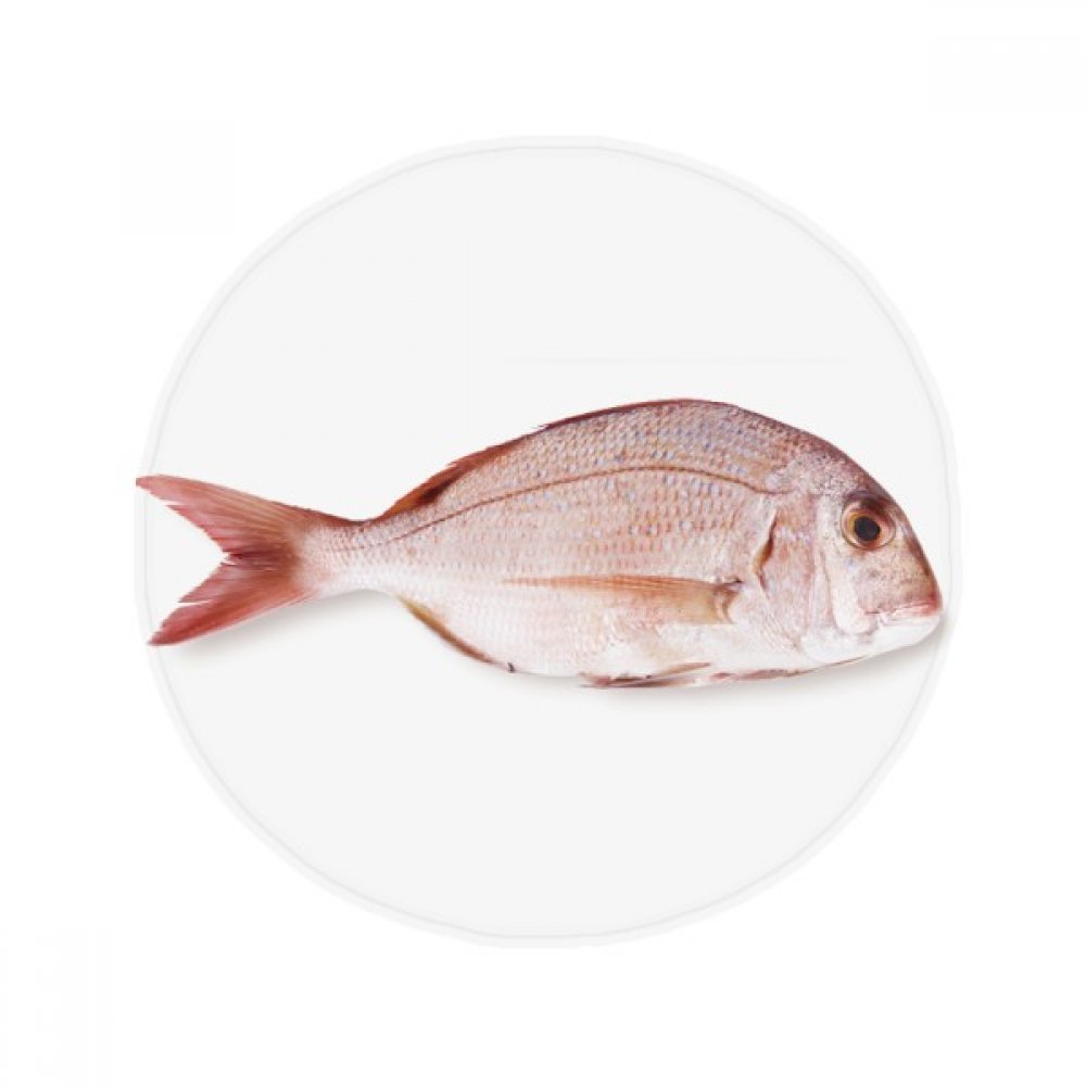Tapis de sol pour salle de bain ocean poisson frais rose