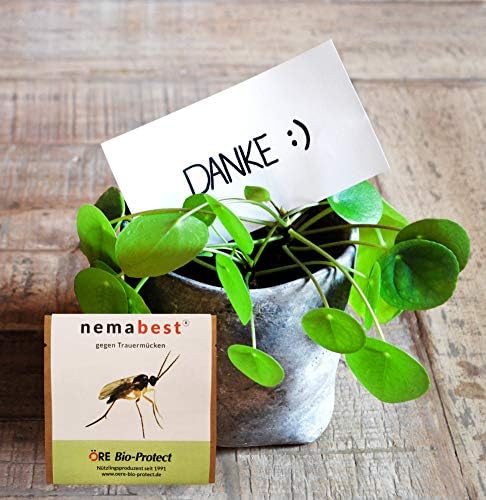 Nemabest® SF nematodes against fungus gnats. - View 7