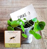 nemabest® SF Nematoden 15 Mio. (150 Pflanzen/30m²) gegen Trauermücken – Ansicht 5