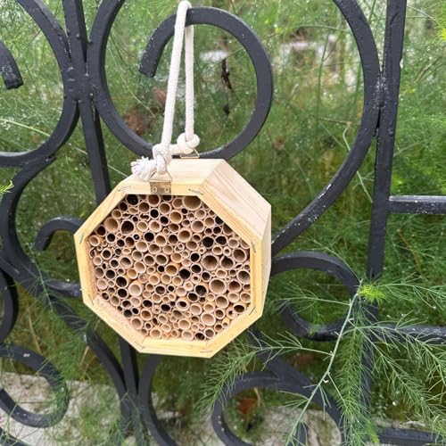 Hôtel d'abeilles en bois de qualité supérieure, abri de nidification durable - 3