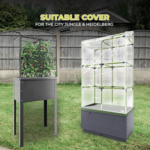 Bio Green JGL-C City Jungle pokrywa, przezroczysta