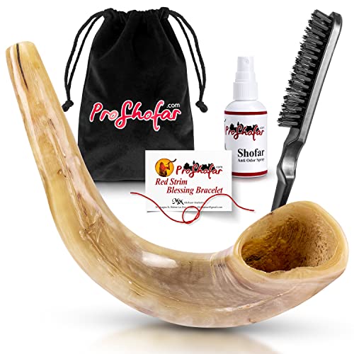 Ram Horn Shofar Polished with Natural Light Colors - Professionally Tuned and Tested 18