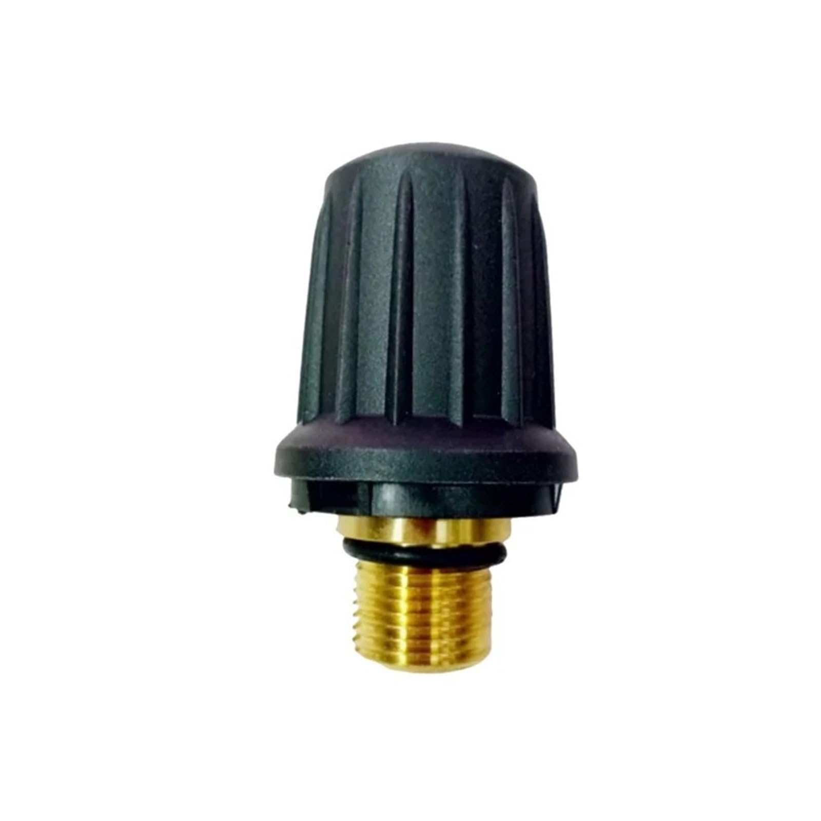 Tappo serbatoio, compatibile con Karcher, SC1 SC2 CTK10 SC2D