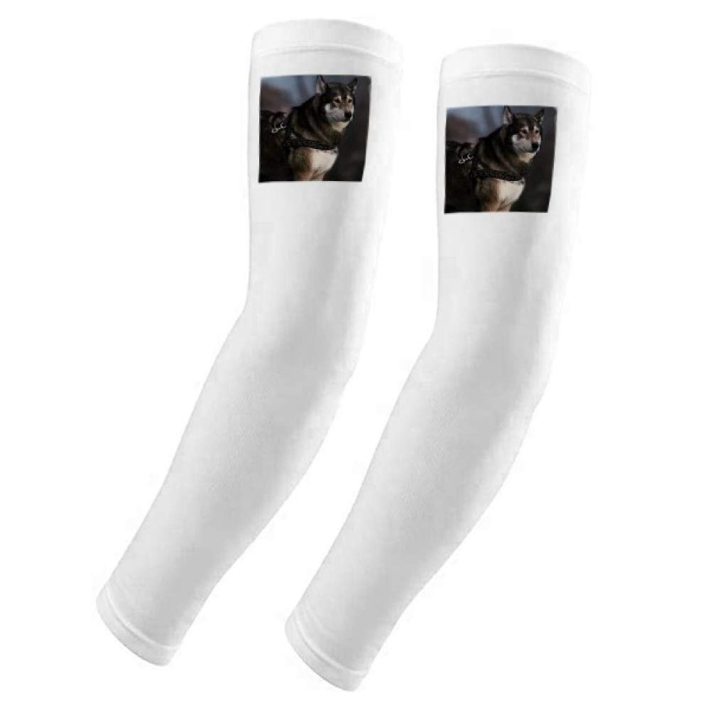 Manguito para brazo con diseño de husky y protección solar UV DIYthinker 5