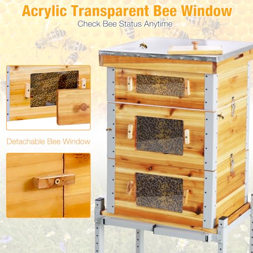 Bee Hive Boxes Starter Kit,3 Layer Metal Frame Bee House with 10 Medium and 20 Deep Frames & Foundations,Langstroth Honey Bee Hive with Metal Stand - Thumbnail 3