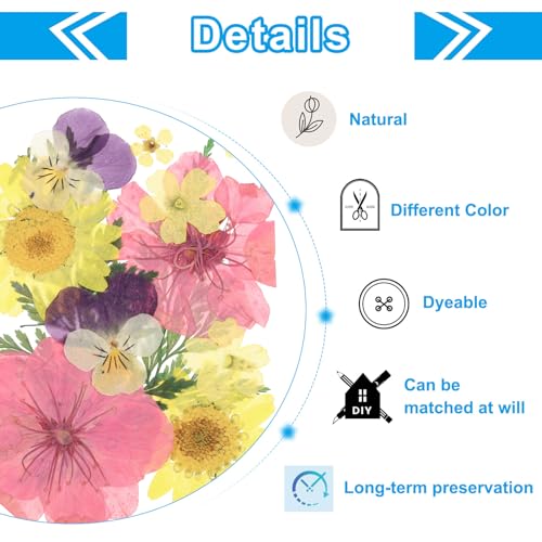 Flores prensadas secas multicolor para manualidades miniatura 3