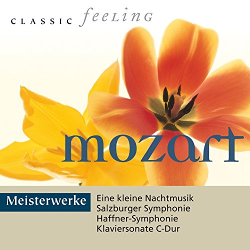 Konzert für Horn und Orchester No. 3 in E-Flat Major, K. 447: II. Romance in E-Flat Major