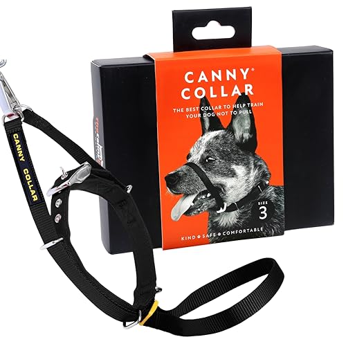 Canny Collar Hundehalfter – Anti-Zug Kopfgeschirr für Hunde | Stoppt Ziehen an der Leine sanft & effektiv | Trainingshilfe für entspannte Spaziergänge – Größe 3, Schwarz