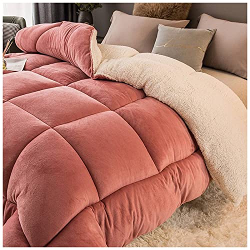 ZTGL Edredón Nórdico Invierno, Colcha Cordero Cachemira Manta Cama Suave Cálida, Microfibra Reversible 150/180/200/220, Bean Paste, 180x220cm/3kg