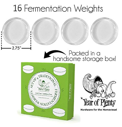 Year of Plenty Set of 16 Fermentation Weights for Use in All Wide Mouth Mason Jars for Fermenting Sauerkraut, Kimchi, Pickles and Other Healthy Fermented Foods Full of Probiotics (16).