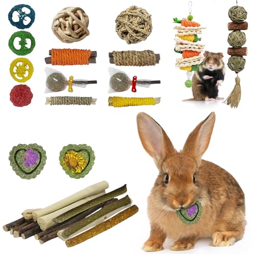 Strumenti per la dentizione: questo set di giocattoli da masticare favorisce le capacità motorie dei piccoli roditori, aumentando le loro attività e gli oggetti di gioco, perfetti per gli animali in fase di dentizione.