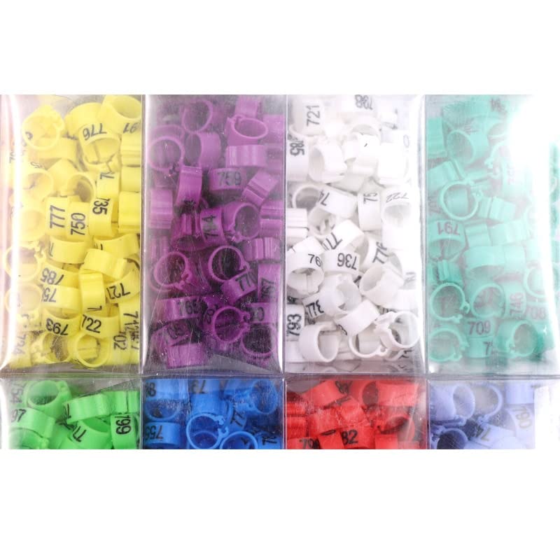 HUFFA 1000 Pz Plastica Uccello Gamba Piede Anello 10 Colori Quaglia Pappagallo Pollo Digitale Anelli di Piccione Piccioni Portare Strumenti con Numero Clip di Uccello