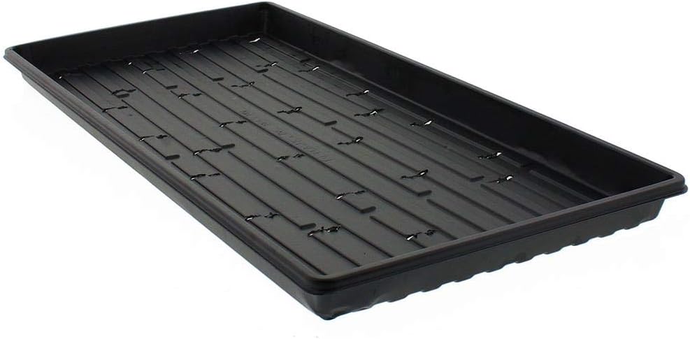 Microgreen Trays with Holes, 10 Pack, Black, Heavy Duty Shallow 1020 Tray Grow Seedlings,Wheatgrass, Hydroponics