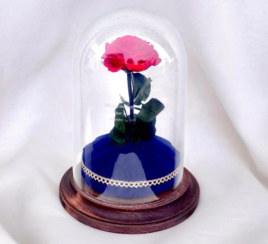 未使用品 昭和54年作成 超激レア 水島新司漫画家生活20周年記念