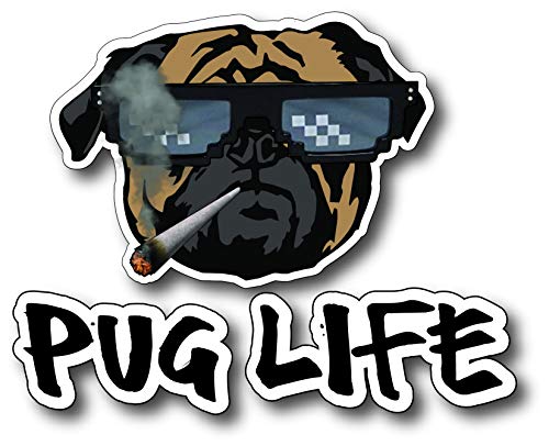 Decals by Haley Funny Pug Life Dog Lover Decal Bumper Sticker Peel and Stick for Windows Cars Trucks laptops