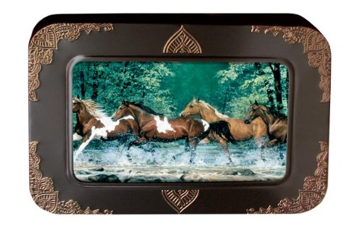 Tree-Free Greetings Noteables Notecards In Reusable Embossed Tin, 12 Card Assortment, Recycled, 4 x 6 Inches, Spring Creek Run, Multi Color (76009)