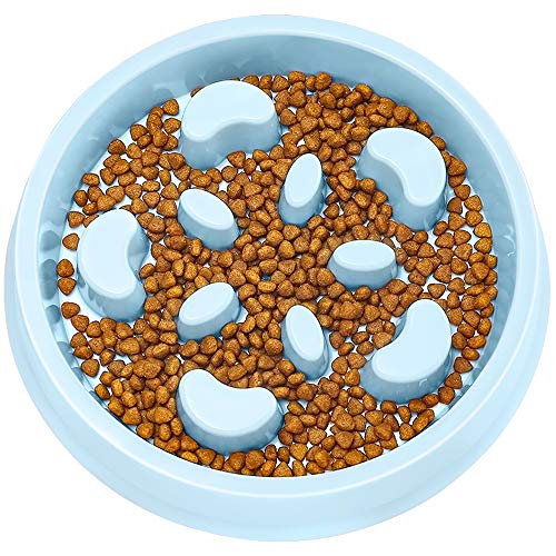 UPSKY Slow Feeder Dog Bowl Fun Feeder No Chocking Slow Feeder Bloat Stop