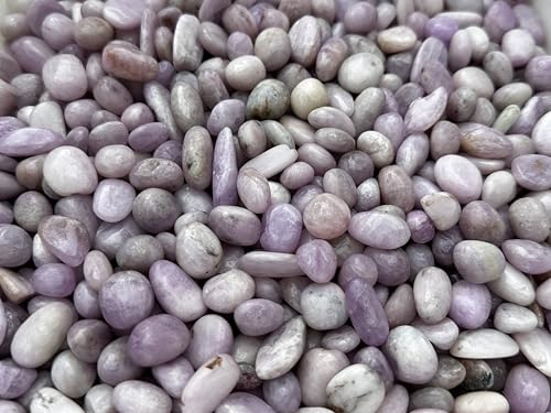 Image of GAF TREASURES 1 /2 LB Kunzite Tumbled Stones, Polished Natural Kunzite Gemstone, Kunzite Healing Crystals (Kunzite)