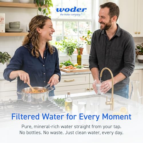 Filtro de agua para cocinar sano y beber sin metales pesados bajo el fregadero WD-4K/ADV 6