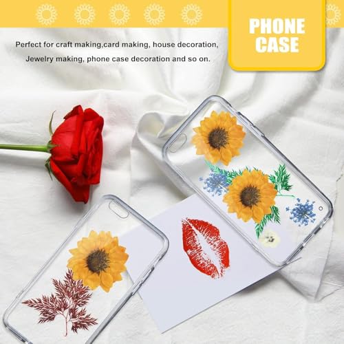60 PCS Girasoles Secos Naturales para Manualidades miniatura 6