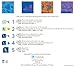Cyanotype Cotton Squares - 25 pack (6