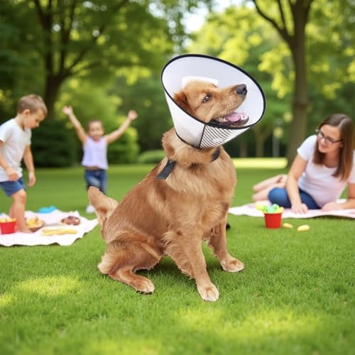 Image of Dog Cone After Surgery, Adjustable Pet Recovery Collar for Dogs and Cats, Plastic Elizabethan Neck E-Collar Stop Licking Wounds (M-D)