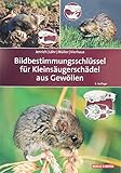 Bildbestimmungsschlüssel für Kleinsäugerschädel aus Gewöllen - Joachim Jenrich, Paul-Walter Löhr, Franz Müller 