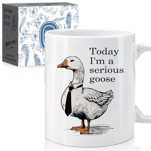 Kaimaloke Taza divertida de ganso con texto en inglés 'I'm a Serious Goose' para enfermeras, mujeres, amantes del ganso, regalos de cumpleaños para mujeres practicantes RN LPN, regalo de la semana de