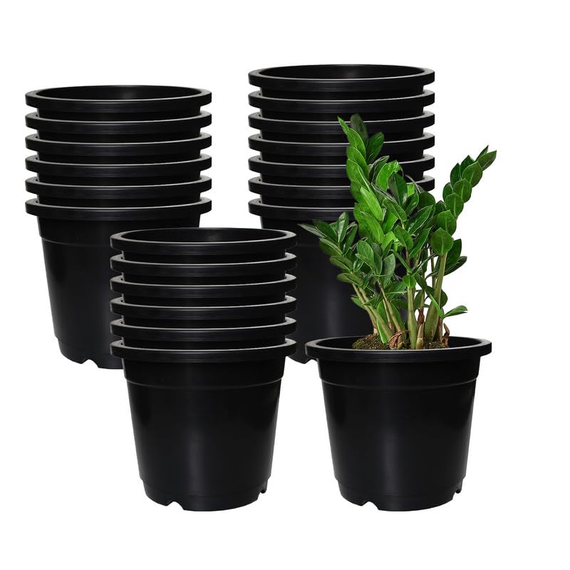 GARDENS NEED 6-Inch (15.24 cm) Nursery Flower Pot | Round Shape