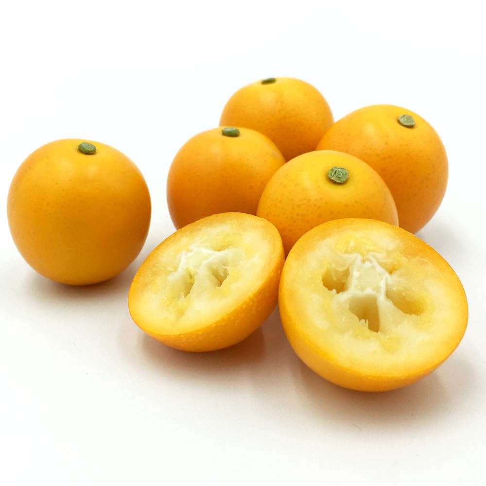 Amazon.co.jp: 【大幅値下げ！1500円OFF！6280円→4780円！】【訳あり